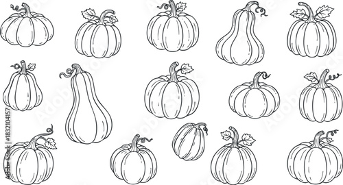 A collection of various pumpkins in black and white outline style, perfect for autumn-themed designs and crafts