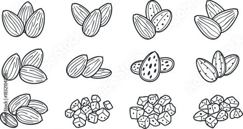 A collection of almond nuts and almond pieces in clean outline vector style, ideal for healthy food packaging and nutrition designs
