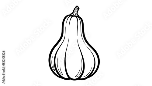 Butternut squash outline drawing on white background