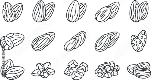 A collection of various nuts including almonds, cashews, and walnuts in clean outline vector style, perfect for health and food designs