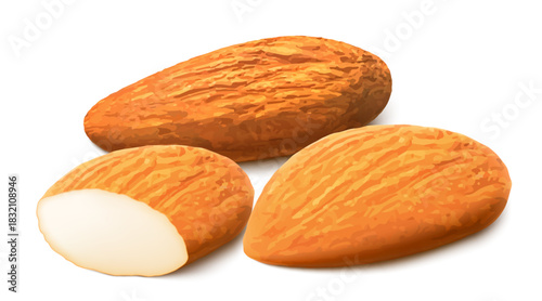 Almond nut composition, different statements. Whole and cracked nuts, hulled and raw kernels and green leaves. Good for labels and stickers, packaging design. Realistic 3d Vector illustration