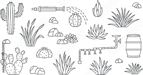 A collection of various cacti, succulents, and desert plants in outline vector style, suitable for nature-themed designs and gardening projects
