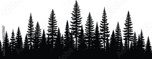 Panoramic silhouette of coniferous pine forest trees, black vector illustration of evergreen woodland isolated on white background.
