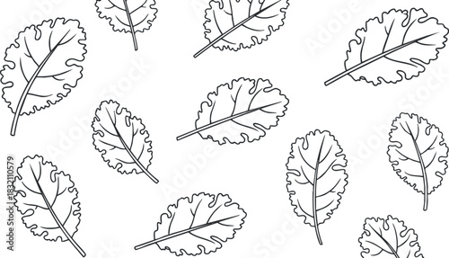 A collection of hand-drawn outline leaves in a minimalist vector style, perfect for nature-themed designs and backgrounds