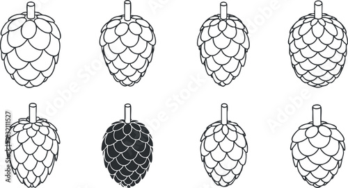 A set of pinecone illustrations in black and white outline vector style, ideal for nature-themed design projects
