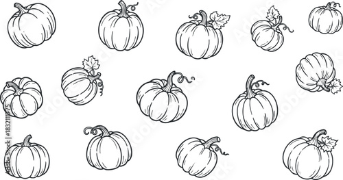 A collection of hand-drawn pumpkins in black and white outline style, perfect for autumn-themed designs and decorations