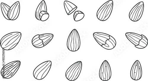 A collection of various almond shapes in clean outline vector style, suitable for health-focused designs and food packaging
