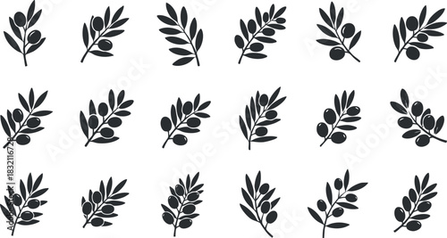 A collection of olive branches and leaves in black silhouette vector style, perfect for food packaging and organic branding