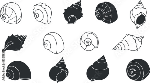 A collection of various seashells in black and white minimalist vector style, suitable for beach-themed designs and decor