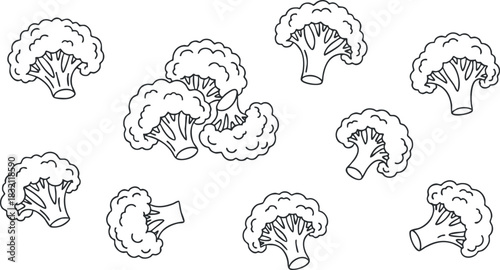 A collection of broccoli illustrations in outline minimalist vector style, suitable for healthy eating and cooking projects