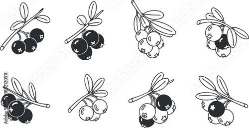 A collection of blueberry illustrations featuring branches and leaves in black and white minimalist vector style, suitable for organic food branding