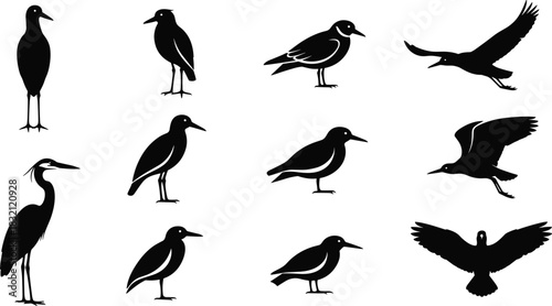 Black Bird Silhouettes Vector Illustration Set Featuring Various Shorebirds, Waders, and Flying Seabirds, Ideal for Nature, Wildlife, and Environmental Graphic Design Projects