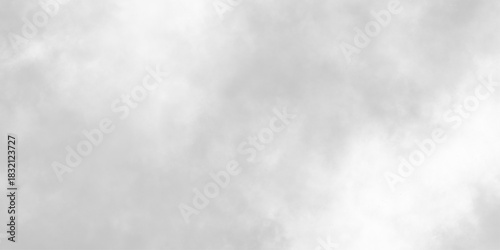 Abstract background with white paper texture and white and gray watercolor painting background. Fog and smoky effect. Abstract black and white grunge texture, vintage white painted marble with stains.