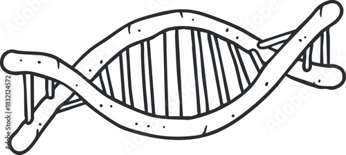 A hand-drawn illustration of a DNA double helix in outline style, suitable for educational and scientific contexts