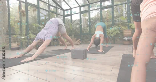 Fototapeta Doing four yogis holding downward dog in greenhouse wearing purple shirts sports bra on black mats