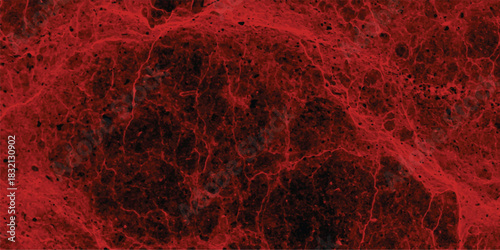 Intense abstract background with a deep crimson and black textured pattern resembling cracked earth or a biological cell structure, conveying a powerful and dramatic visual impact for scientific or