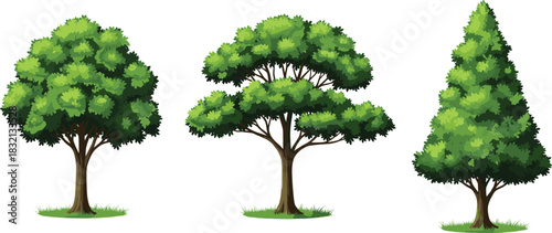 Tree silhouette set, rounded tree, umbrella tree, pine tree, forest elements, green foliage, landscape design, nature icon, flat vector