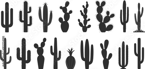 Assortment of Cactus Silhouettes with Spikes and Different Forms succulent plant