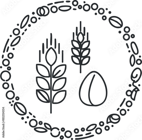 A collection of wheat and barley plants with seeds in minimalist outline vector style, suitable for organic food branding