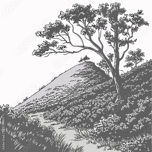 A solitary tree stands on a grassy hill covered in small flowers with a winding path leading upwards