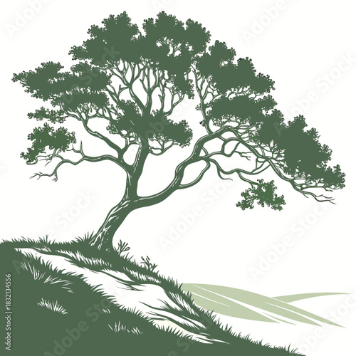 Stylized silhouette of a majestic pine tree growing on a grassy hillside
