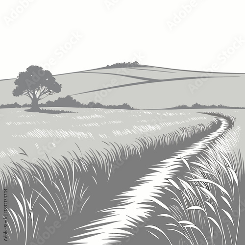 A winding path through a grassy field leading towards rolling hills and a solitary tree
