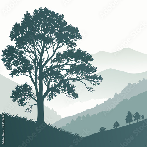 Silhouette of a majestic tree on a grassy hill overlooking misty mountains and rolling hills