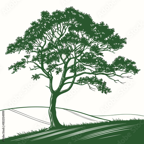Stylized silhouette of a majestic tree standing tall on a rolling hillside