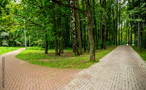 Tranquil Park Pathways Diverge Through Dense Forest With Brick Walkways and Lush Greenery In Victory Park On Poklonnaya Hill, Moscow, Russia, 10 August 2025