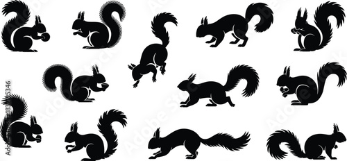 Diverse Black Silhouettes of Squirrels in Various Poses and Activities Keywords: squirrel, animal, wildlife, rodent, nature