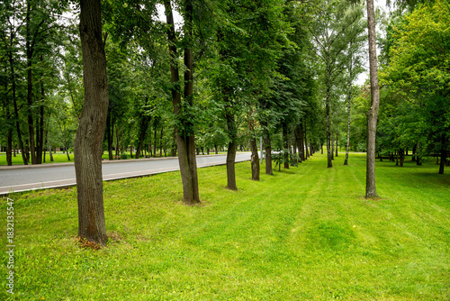 Tree-Lined Park Path With Lush Green Grass In Victory Park On Poklonnaya Hill, Moscow, Russia, 10 August 2025