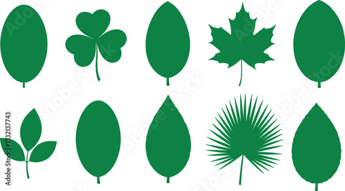 PrintDiverse Green Leaf Shapes Vector Icon Set, Collection of Different Tree and Plant Leaves, Shamrock, Maple, Palm, and Deciduous Foliage, Nature and Ecology Graphic Elements.