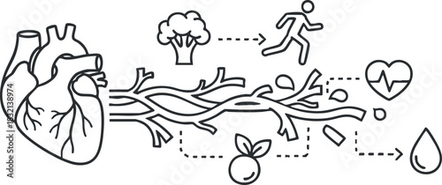 A detailed illustration of a human heart with branches leading to healthy activities and elements in minimalist outline vector style, suitable for health and wellness projects