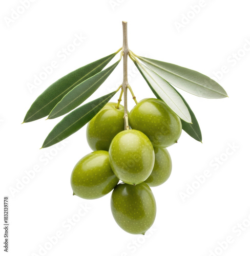 Harvesting fresh green olives farm orchard food nature isolated on transparent background