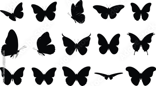 Butterfly silhouette collection diverse shapes and poses in black