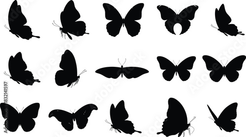 Butterfly silhouette collection isolated on white background for design