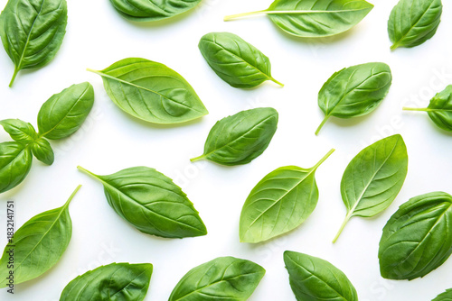 Green basil leaves isolated on white background