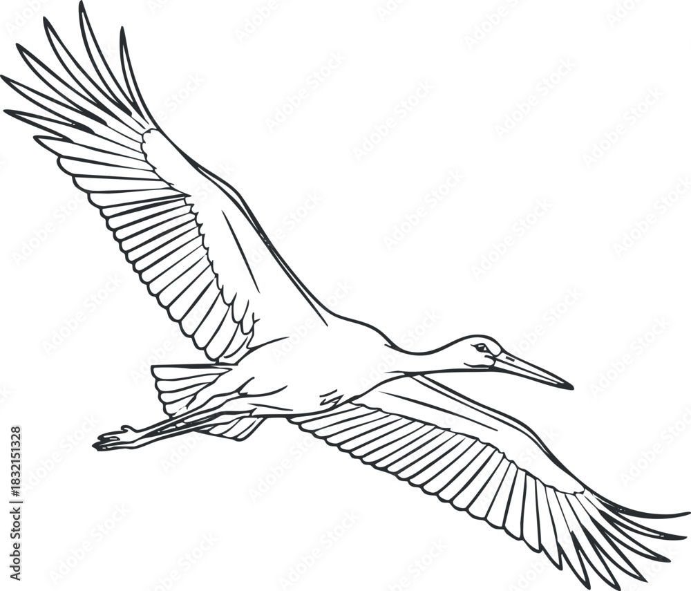 Fototapeta premium A stylized outline illustration of a flying crane bird in minimalist black and white vector style, suitable for nature-themed designs