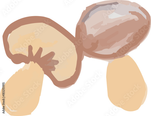 Watercolor Sketchy Two Isolated Simple Mushrooms Fungi
