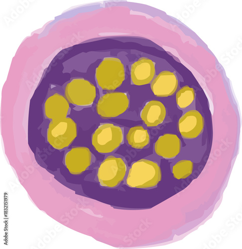 Hand-Drawn Watercolor Exotic Passion Fruit Slice