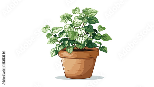 Refreshing Green Plant in Pot on White Background for Interior Design Inspiration