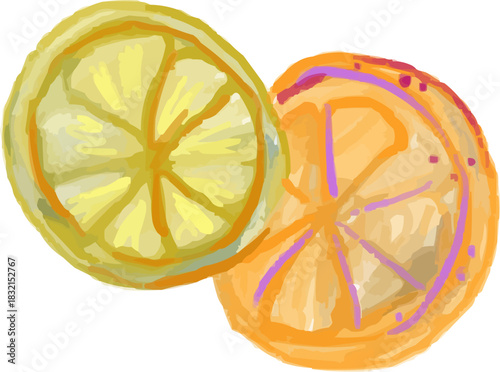 Watercolor Two Citrus Slices Lemon and Orange