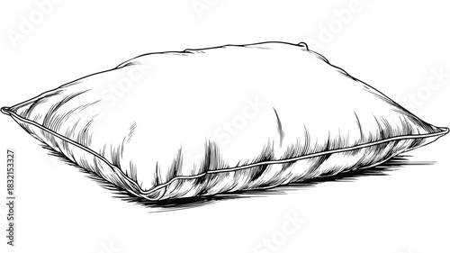 Modern Pillow Vector with Outline on White Background for Interior Design Projects
