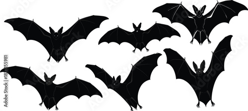 Flying Bat Silhouettes with Outstretched Wings, Prominent Ears and Claws, Nocturnal Creatures, Halloween Theme, Realistic Anatomy, Black Figures, Motion