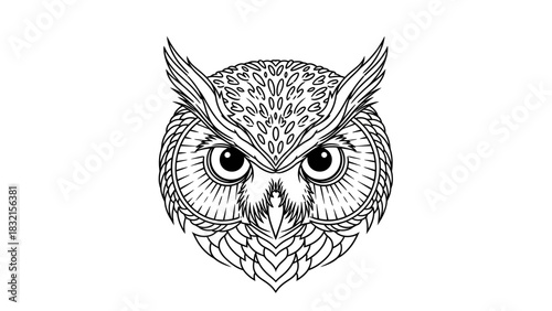 Detailed Line Art Illustration of an Owls Face with Intricate Patterns.