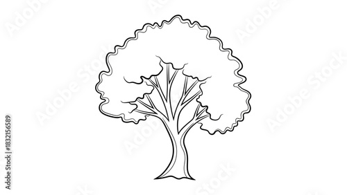 Hand Drawn Sketch of a Deciduous Tree with Lush Foliage.