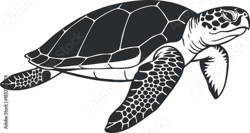 A sea turtle swimming gracefully in black and white vector style, suitable for marine conservation projects and educational materials