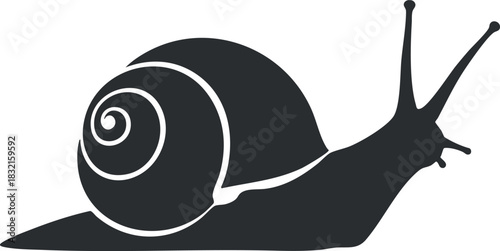 A snail with a spiral shell in a minimalist black and white vector style, ideal for nature-themed designs