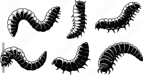 Segmented Worm-Like Creature Silhouettes with Multiple Legs, Black Figures in Curved Poses, Stylized Anatomy, Invertebrate Design, Creepy Crawlies, Entomology Theme
