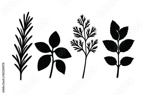 Set of black silhouettes showing various aromatic culinary herbs and spices